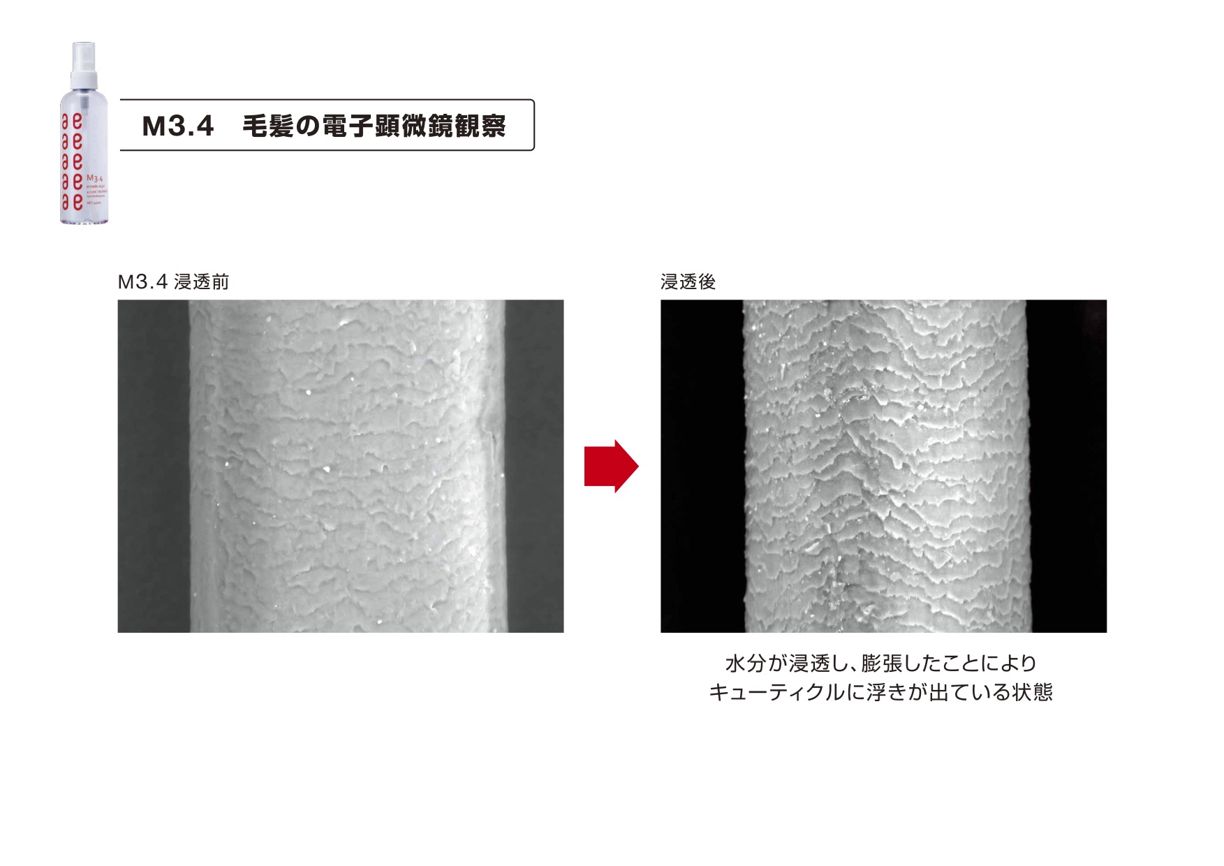 M3.4がアップデートされました_b0306829_15162731.jpg