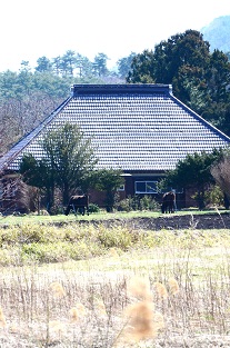 寺下観音・潮山神社　階上町_c0299631_2240076.jpg