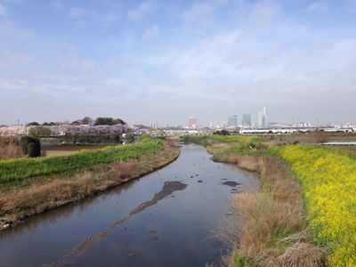 桜ざんまい_e0197434_17353646.jpg