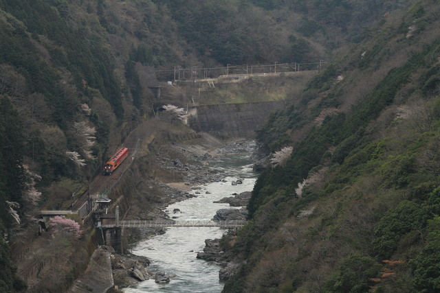 保津峡俯瞰&嵯峨野トロッコ_c0170340_22455777.jpg