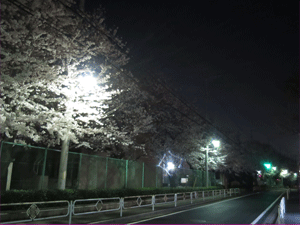 a0019747_0211840.gif