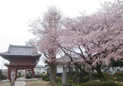 f0329849_13192974.jpg