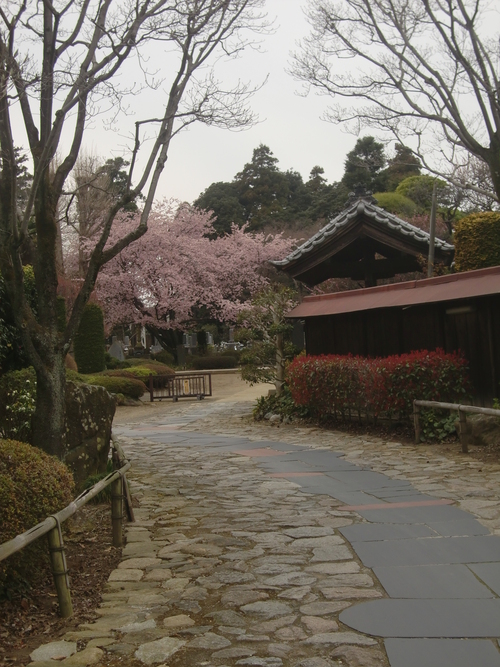 f0329849_1320138.jpg