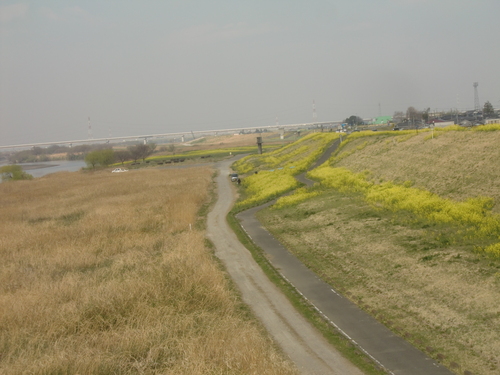f0329849_13224620.jpg