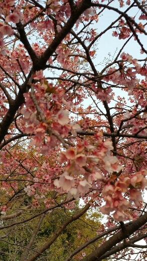 b0339553_291289.jpg