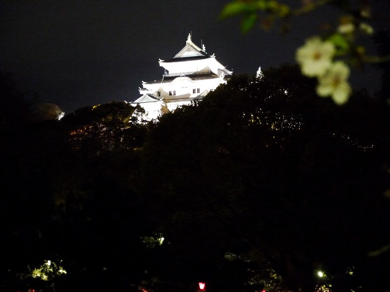 　　和歌山便り_b0093754_17231335.jpg