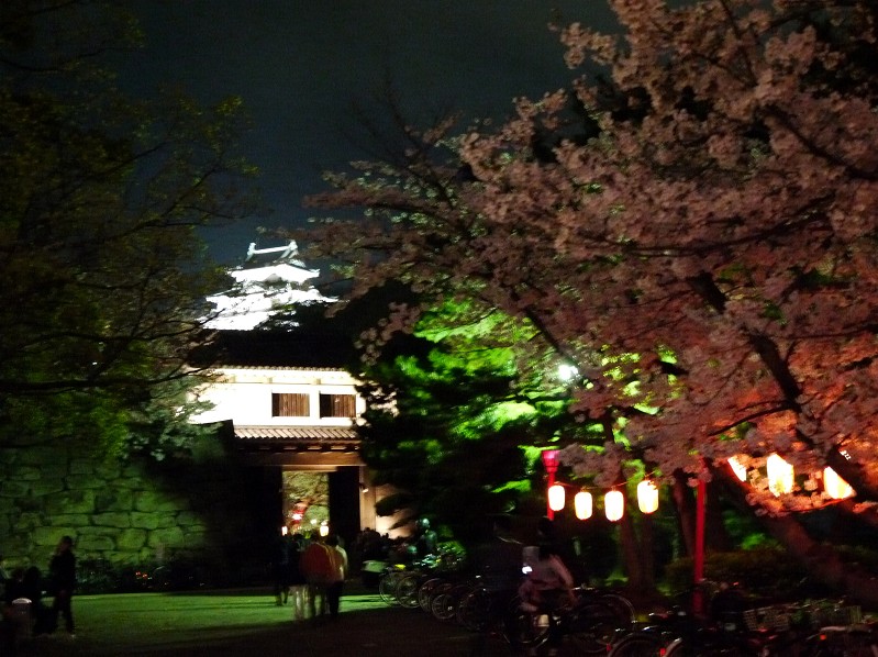 　　和歌山便り_b0093754_17241650.jpg