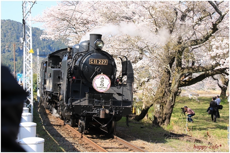 家山の桜トンネルとSL♪_a0167759_0292981.jpg