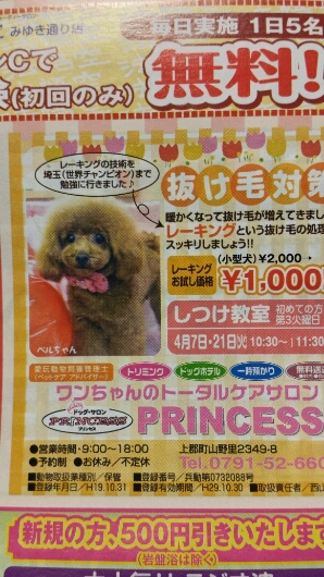 大好き_b0328361_20143612.jpg