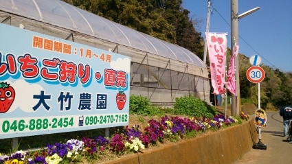 a0275565_22552566.jpg