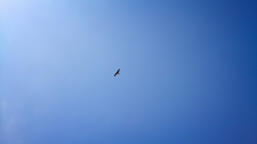 a0275565_22552620.jpg