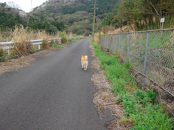 ハッキリしないお天気でしたが_b0088173_20221372.jpg