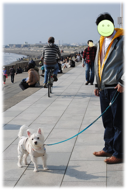 b0242873_13023064.png