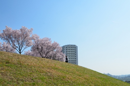 c0229483_1704457.jpg