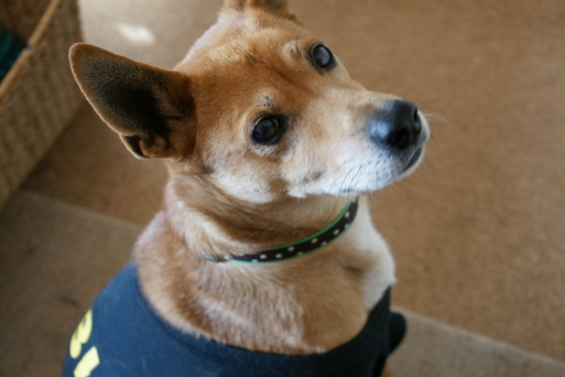 c0332184_10565645.jpg
