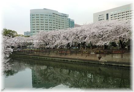 a0287486_70787.jpg