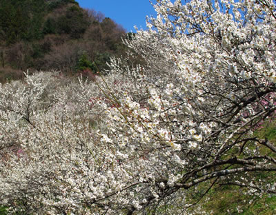 b0123486_17312048.jpg