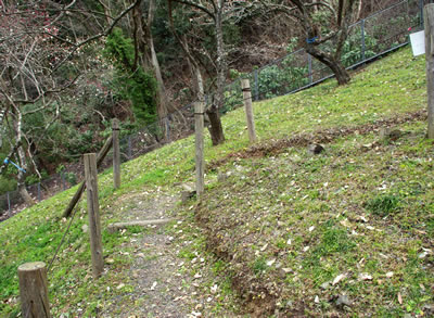 b0123486_17384583.jpg