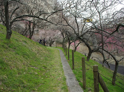 b0123486_18471573.jpg