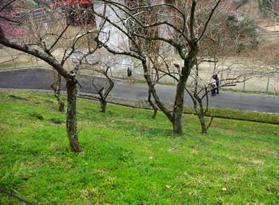 b0123486_18505218.jpg