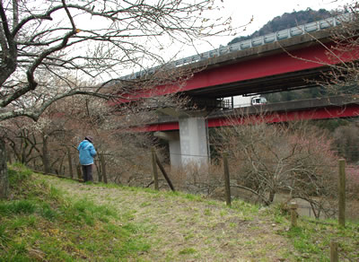b0123486_1852882.jpg