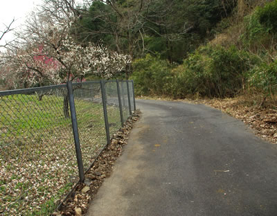 b0123486_19153897.jpg