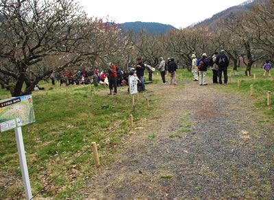 b0123486_20252014.jpg