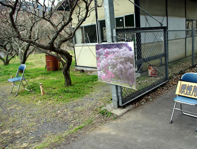b0123486_2032167.jpg