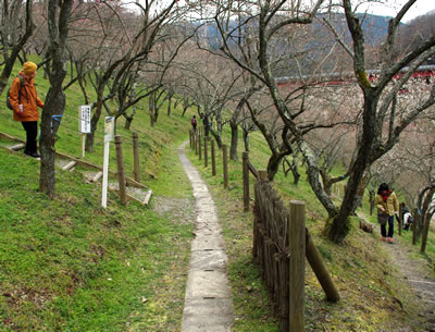 b0123486_2114417.jpg