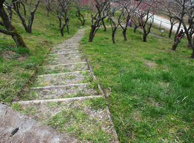 b0123486_21182861.jpg