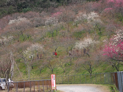 b0123486_213655.jpg