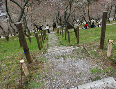 b0123486_2151675.jpg