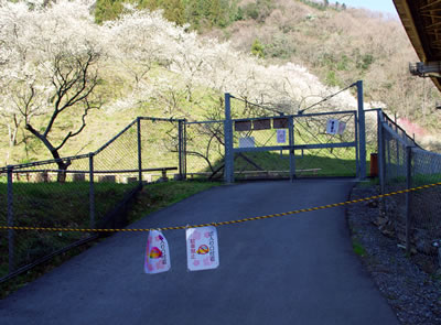 b0123486_7373813.jpg