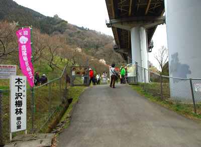 b0123486_737575.jpg