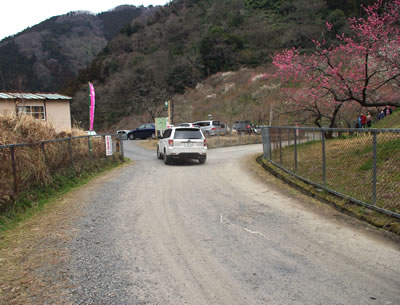 b0123486_810142.jpg