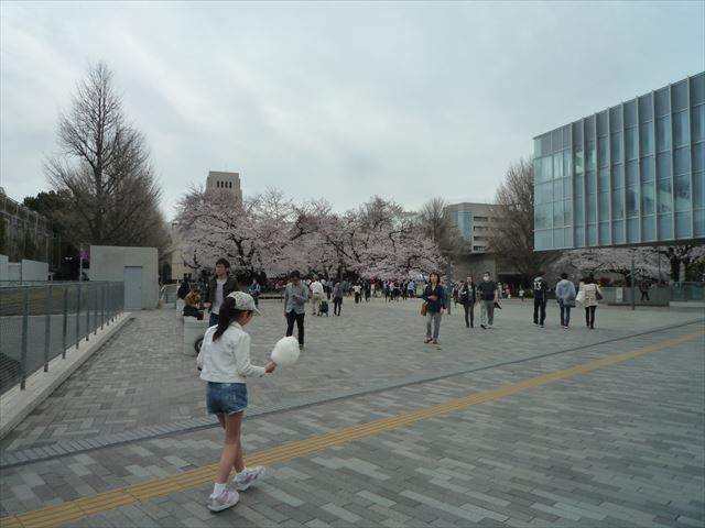 春散歩　今年のお花見2か所行ってきたよ♪　東工大と馬事公苑_b0287088_16453459.jpg