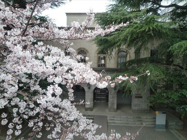 春散歩　今年のお花見2か所行ってきたよ♪　東工大と馬事公苑_b0287088_17022244.jpg