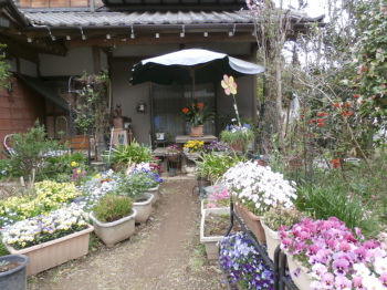 c0049489_13595118.jpg