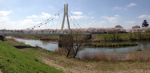 d0153294_1423188.jpg