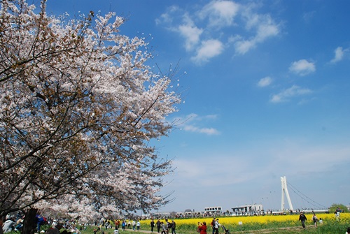 d0153294_1429155.jpg