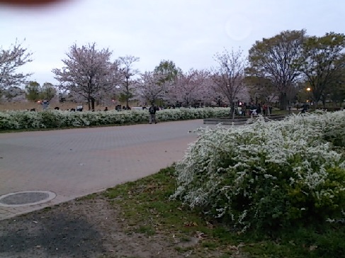 ２０１５　舎人公園春の花火_d0299604_20502754.jpg