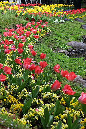 b0014607_2183590.jpg