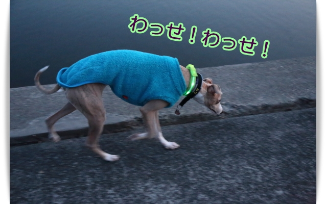 e0100007_8493912.jpg