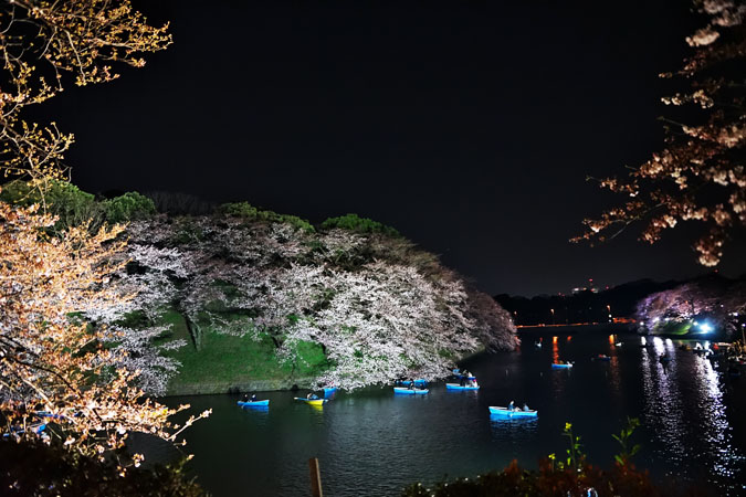 千鳥ヶ淵の桜のライトアップ1_a0263109_101124.jpg