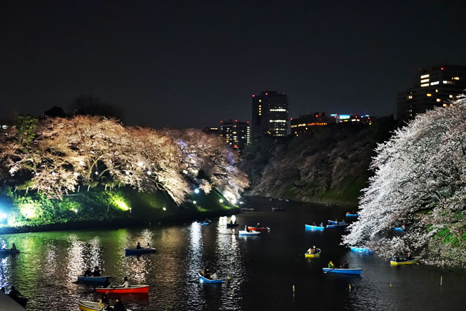 千鳥ヶ淵の桜のライトアップ2_a0263109_10215290.jpg