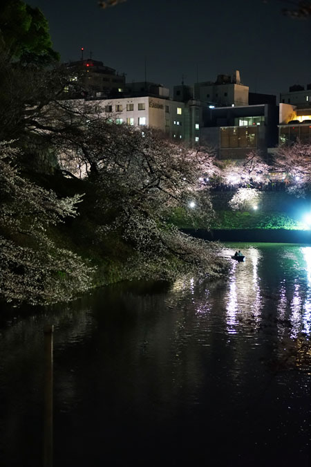 千鳥ヶ淵の桜のライトアップ1_a0263109_109792.jpg