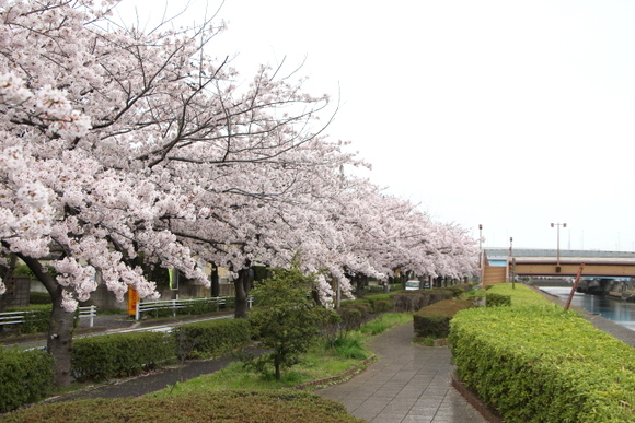 a0284809_22475674.jpg