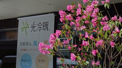 b0131012_14392892.jpg