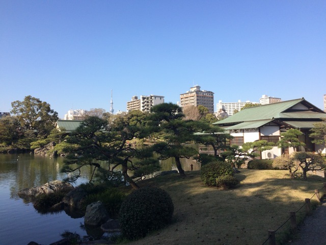 ＊「青空桜　〜清澄庭園」_f0274713_10130973.jpeg