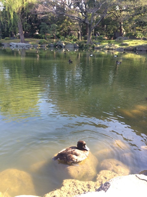 f0274713_10133156.jpeg